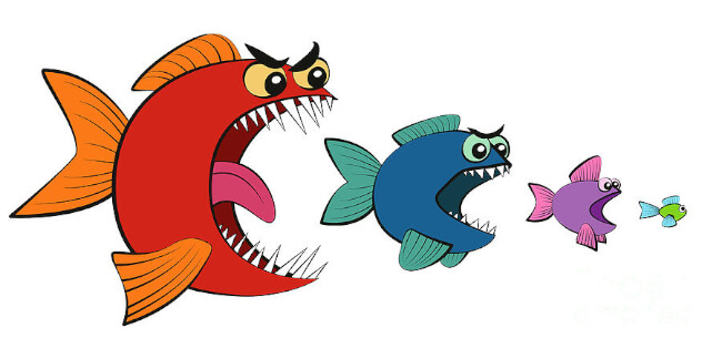 Mopinion: The State of Customer Experience (CX): What’s happening now? - Big Fish