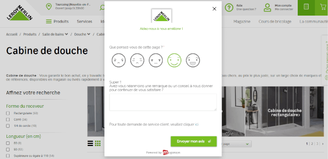 Mopinion: Leroy Merlin chooses Mopinion to shape online VoC programme - Feedback Form