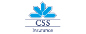 CSS Logo